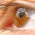 شائعات صحة العيون