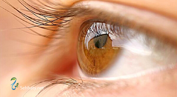 شائعات صحة العيون