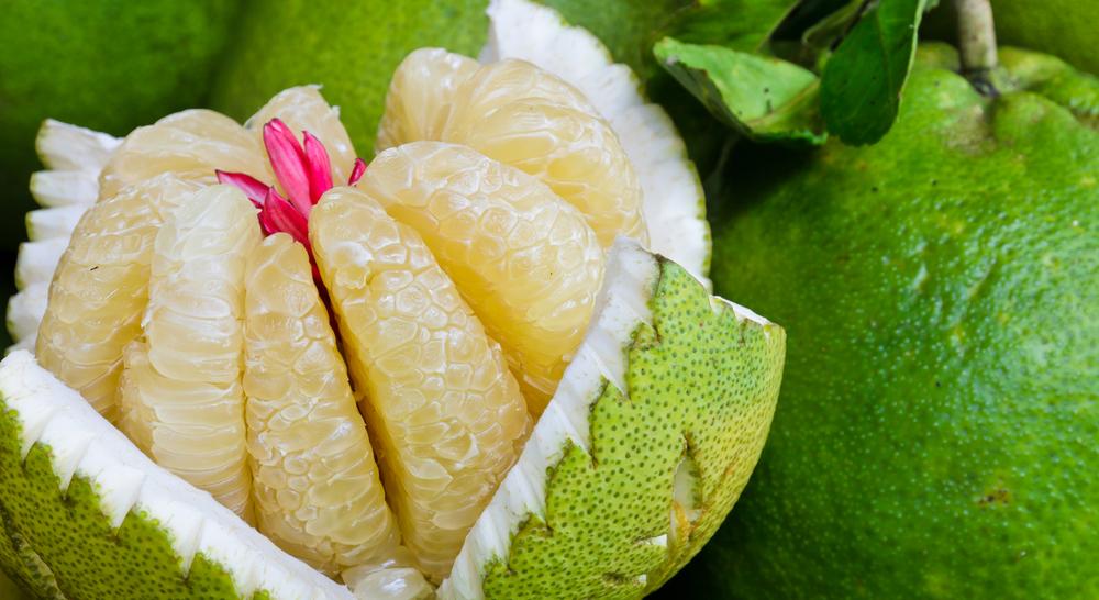 فوائد صحية مدهشة لفاكهة البوملي صحتي